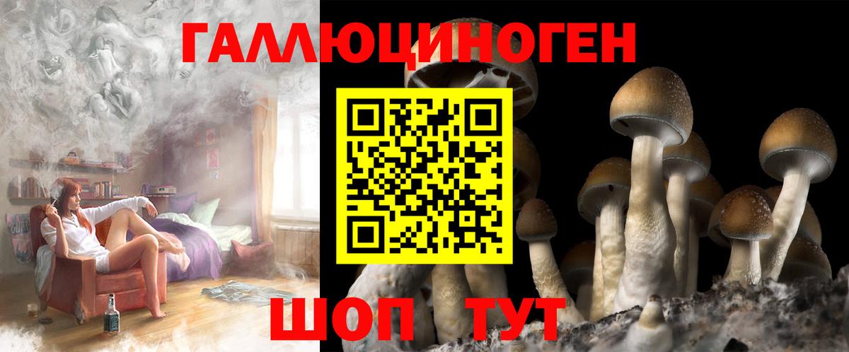 Псилоцибиновые грибы Psilocybe Советский