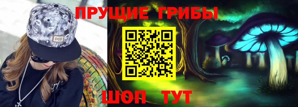 Галлюциногенные грибы прущие грибы  Вход с VPN  Советский  Галлюциногенные грибы Psilocybe 